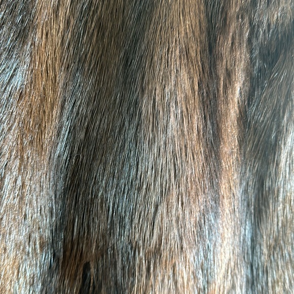 Vintage beaver cape - Picture 5 of 9